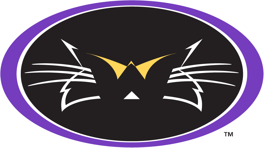 Western Carolina Catamounts 1996-2003 Secondary Logo v2 DIY iron on transfer (heat transfer)